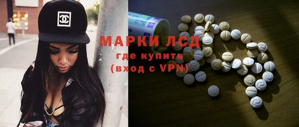 стаф Новокубанск