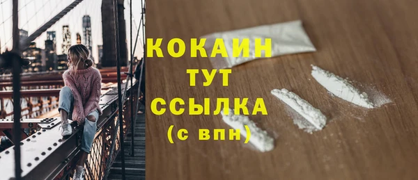 стаф Новокубанск