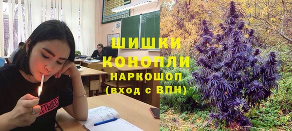 дурь Новодвинск