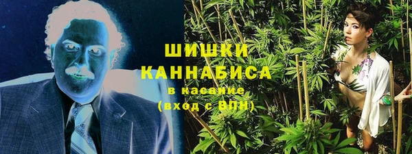 стаф Новокубанск