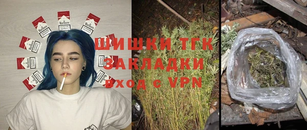 стаф Новокубанск