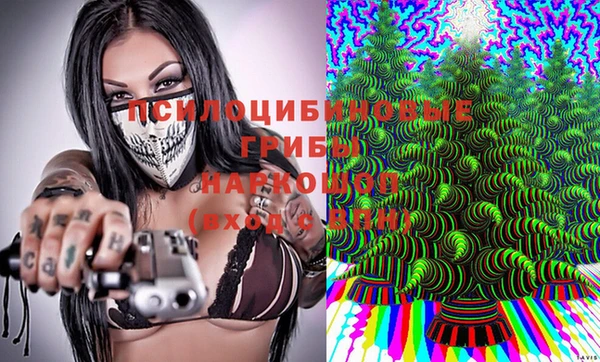 дурь Новодвинск