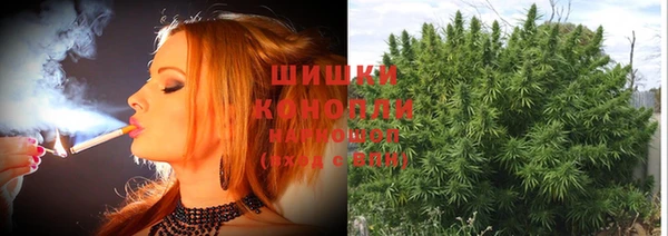 дурь Новодвинск
