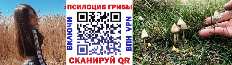 что такое Салават Псилоцибиновые грибы Cubensis